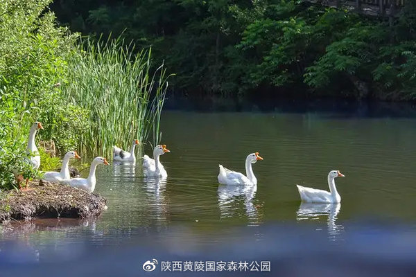 文章附图